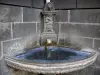 克莱蒙费朗 - 喷泉