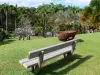 克莱门特之家 - 长凳俯瞰新公园的棕榈树林