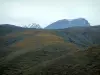 内コルシカ島の風景 - バックグラウンドでの丘と雪に覆われたピーク（山）