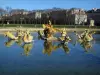 凡尔赛宫公园 - 龙盆雕像