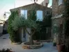 加桑 - 村庄和橄榄树的石房子