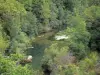 区域自然公园的Grands Causses - Dourbie Gorges：Dourbie河两旁种满了树木