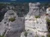 区域自然公园的Grands Causses - 在Causse Noir的Chaos de Montpellier-le-Vieux：破败的白云岩岩石