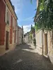 区域自然公园Oise-Pays de France - 森利斯的鹅卵石小巷