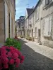 区域自然公园Oise-Pays de France - 森利斯的鹅卵石和花丛小巷