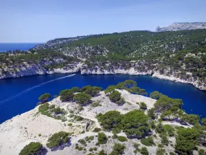 卡兰克斯国家公园 - 地中海小溪的野生景观