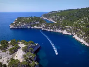 卡兰克斯国家公园 - 地中海小溪的野生景观