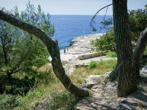 卡兰克斯国家公园 - 漫步在Calanques国家公园的中心