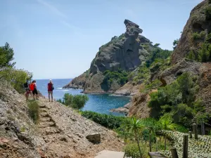 卡兰克斯国家公园 - Calanque de Figuerolles 和 Rocher du Capucin