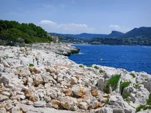 卡兰克斯国家公园 - 野生海岸