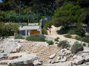 卡兰克斯国家公园 - 通往大海的道路