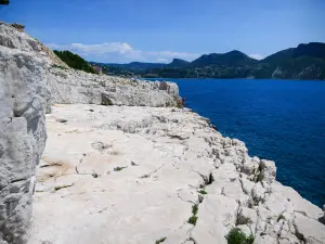 卡兰克斯国家公园 - 石灰石岩石坠入大海