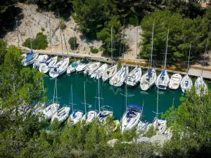 卡兰克斯国家公园 - Port-Miou的calanque码头