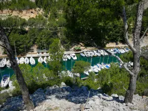 卡兰克斯国家公园 - Port-Miou的calanque码头