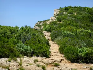 卡兰克斯国家公园 - 垄路边缘的野性