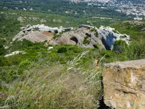 卡兰克斯国家公园 - 山脊路边缘的景观