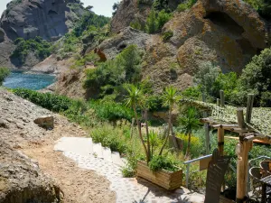 卡兰克斯国家公园 - Figuerolles的Calanque