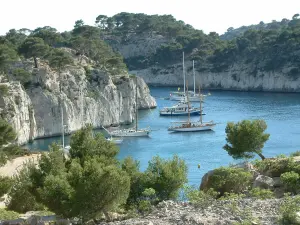 卡兰克斯国家公园 - 帆船在Calanques国家公园的中心停留