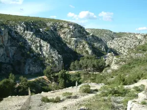 卡兰克斯国家公园 - 小溪的地块