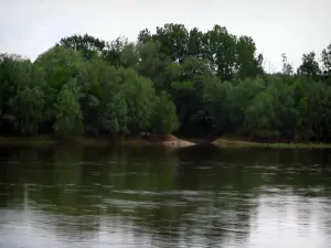 卢瓦尔河谷 - 河（卢瓦尔河）和树木在水边