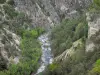 吉尔三峡 - Guil Torrent两旁种满了树木和岩石;在Queyras地区自然公园