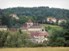 吉尼 - 有它的修道院教会的村庄和房子，树和领域在前景