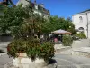 吕弗克 - Place d'Armes：花井（鲜花），树木，咖啡馆露台和建筑物，包括市政厅
