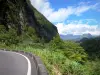 团圆的风景 - Salazie道路两旁绿树成荫