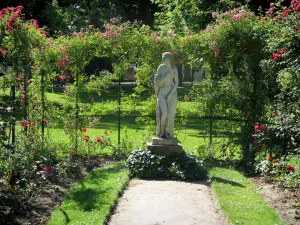 图卢兹 - Jardin des Plantes：雕像和攀缘玫瑰（玫瑰）