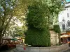 土伦 - Place Puget：Trois-Dauphins喷泉覆盖着植被，梧桐树和咖啡馆露台