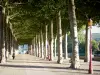 圣吉龙 - 步行战神广场（绿树成荫的大道）