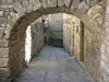 圣埃尼米耶 - 石门廊和铺成的小巷