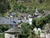 圣埃尼米耶 - 观看村庄的屋顶;位于Cévennes国家公园的Gorges du Tarn中心