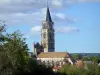 圣父教堂 - 巴黎圣母院教堂的钟楼俯瞰绿色的勃艮第乡村