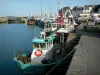 圣瓦阿斯拉乌盖 - 港口：停泊在码头的渔船;在科唐坦半岛