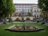 圣艾蒂安 - 市政厅的正面和Jean-Jaurès的水立面，草坪，花草树木