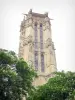 圣雅克塔 - 老钟楼的山顶的看法