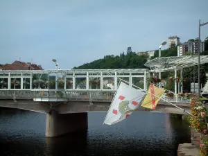 埃皮纳勒 - 横跨河（摩泽尔），旗子，花和城市的大厦的桥梁在背景中