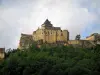 城堡卡斯泰尔诺 - 中世纪堡垒，树和多云天空，在多尔多涅省谷，在Périgord