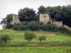 城堡Arlay - 中世纪堡垒的废墟（遗骸）