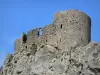 城堡Peyrepertuse - 堡垒的遗迹