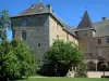 城堡Rochechouart - 城堡住在当代艺术博物馆