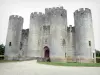 城堡Roquetaillade - 新的城堡塔和地牢