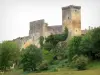 城堡Roquetaillade - 绿叶围拢的老城堡的看法