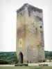 城堡Roquetaillade - 老城堡塔