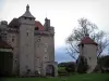 城堡Villemonteix - 城堡和树