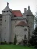 城堡Villemonteix - 城堡