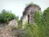 塞居莱沙托 - 城堡的废墟