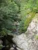 塞文山脉国家公园 - 河，岩石和树木