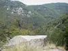 塞文山脉国家公园 - 岩石在前景与山脉内衬树木（森林）的视图